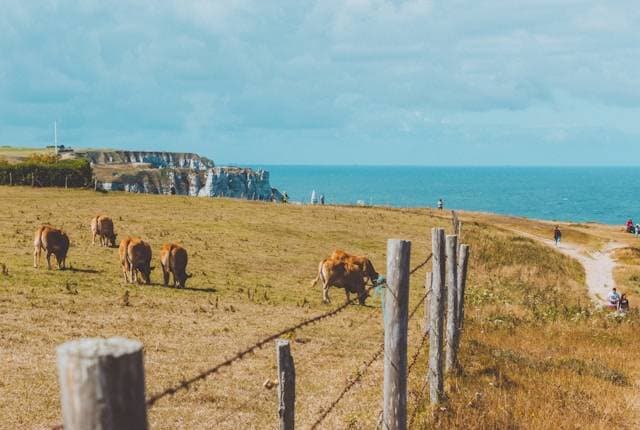 Que faire avec des enfants en Normandie