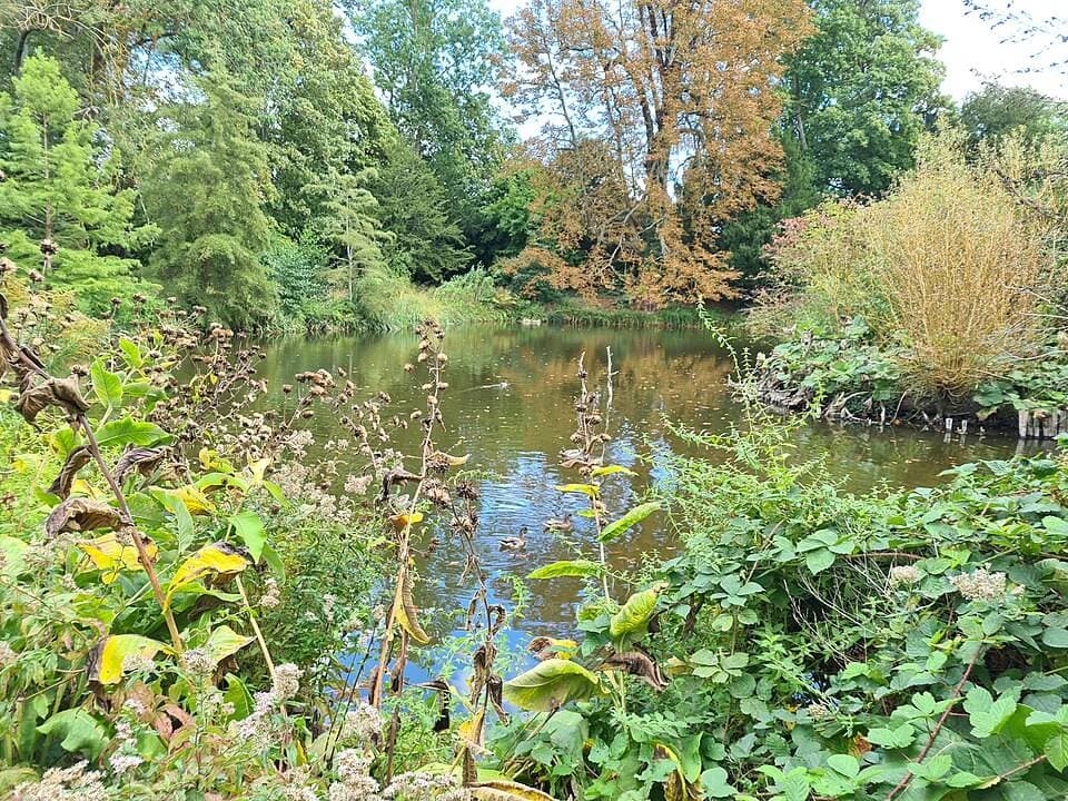 Plan d'eau du parc Balbi à Versailles (Yvelines)