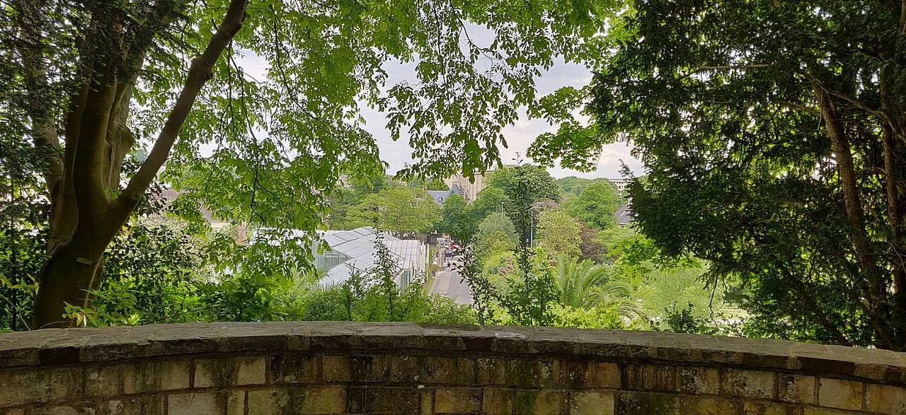 Vue du jardin des plantes de Caen
