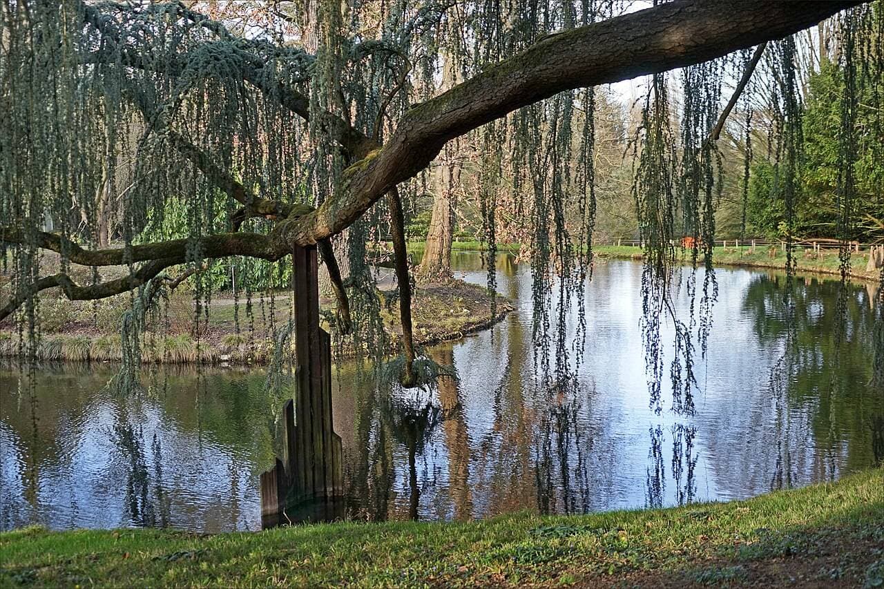 Parc de la Vallée-aux-Loups – sortie enfant à Châtenay-Malabry