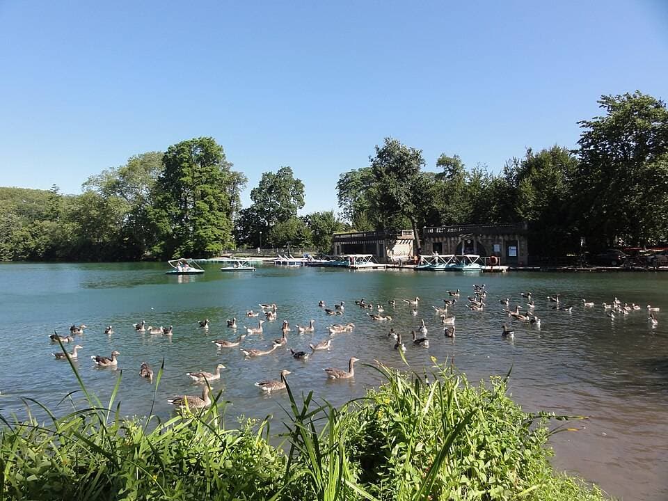 Sortie gratuite à faire avec des enfants à Lyon - Parc de la tête d'or