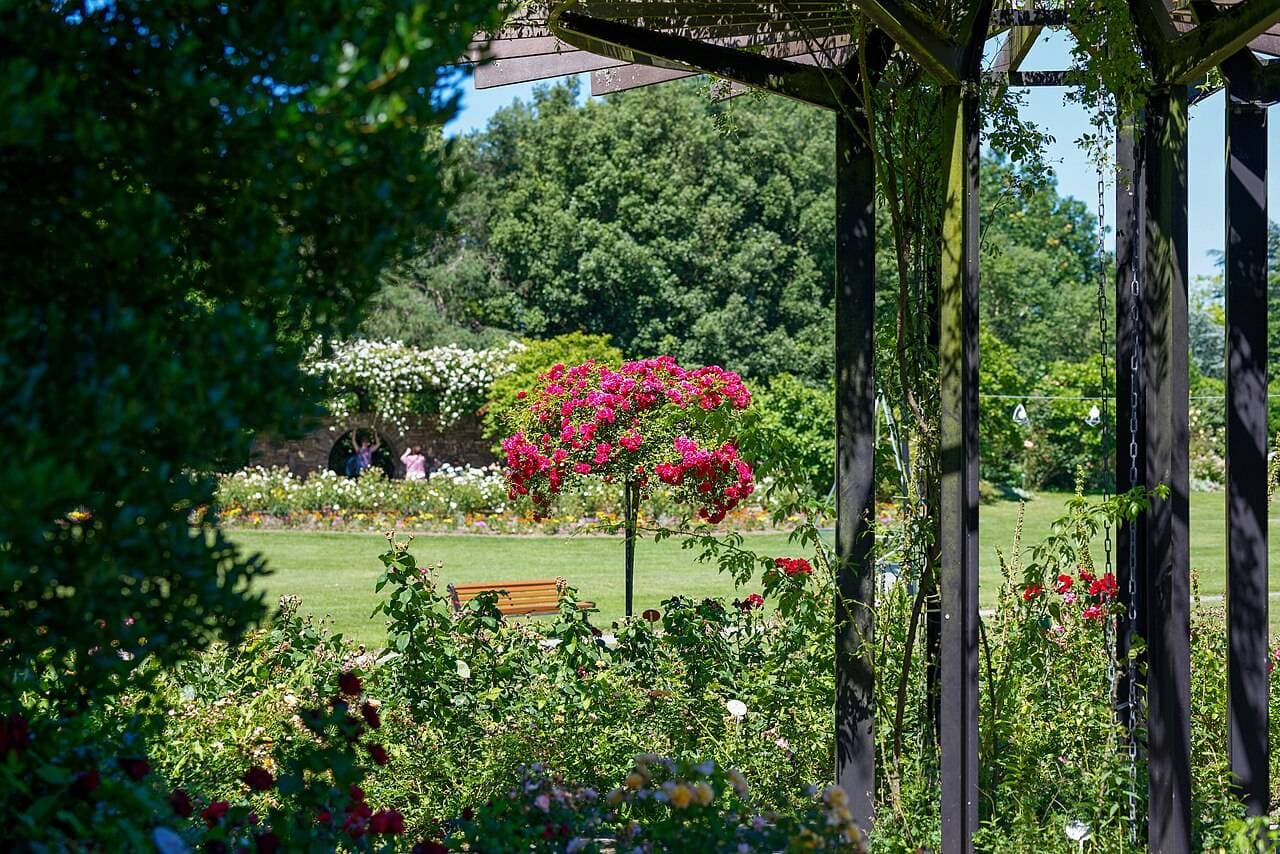 Parc Floral de la Beaujoire : la grande balade fleurie à faire en famille – sortie enfant à Nantes