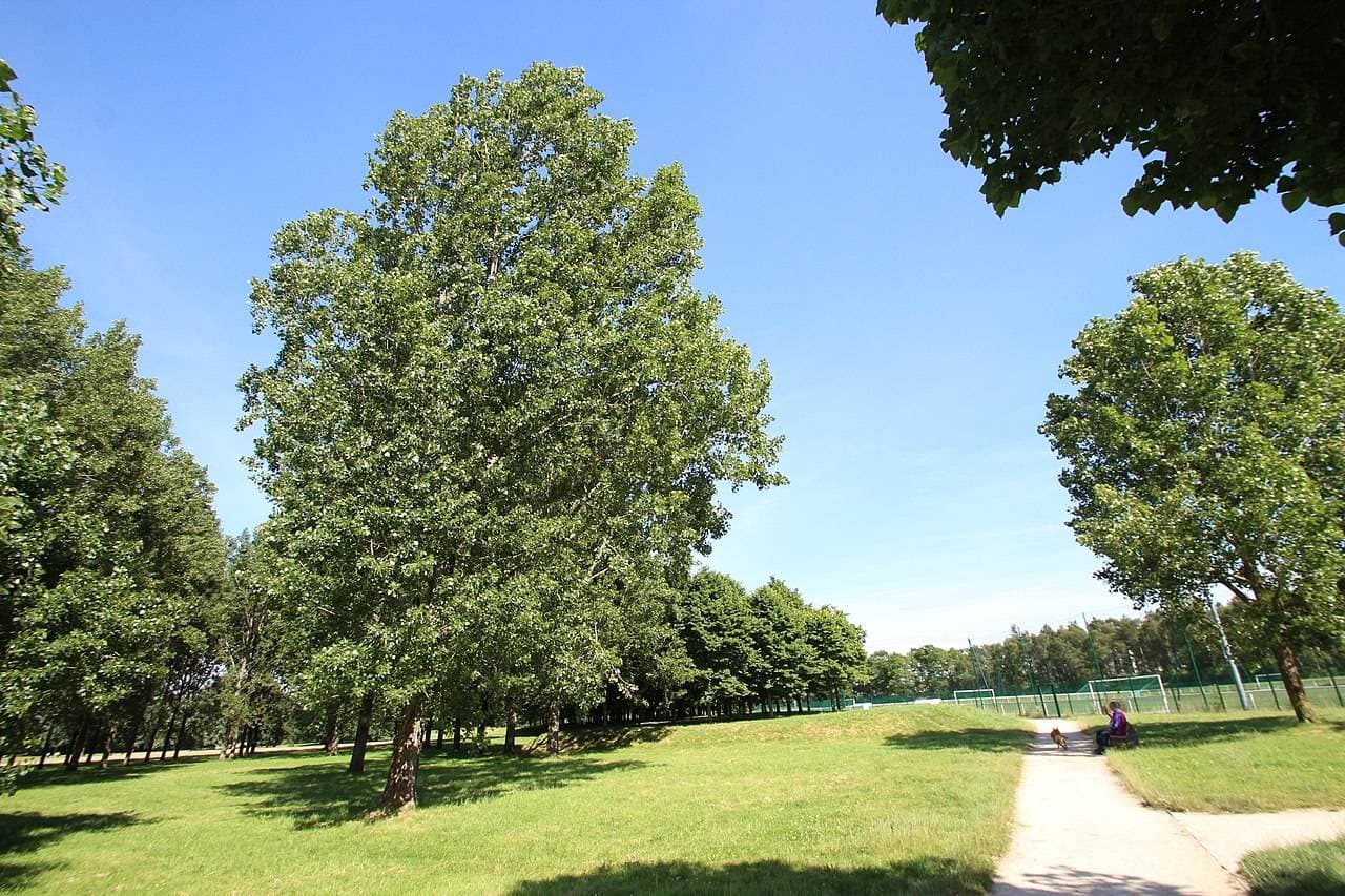 Coulée verte de la Villedieu à Élancourt