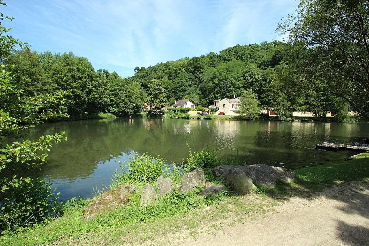 Bassin de la Muette – sortie enfant à Élancourt