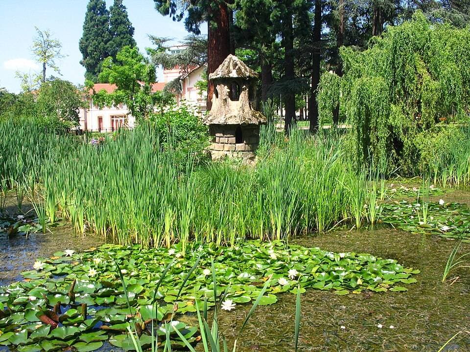 Parc municipal de La Talaudière – sortie enfant à La Talaudière