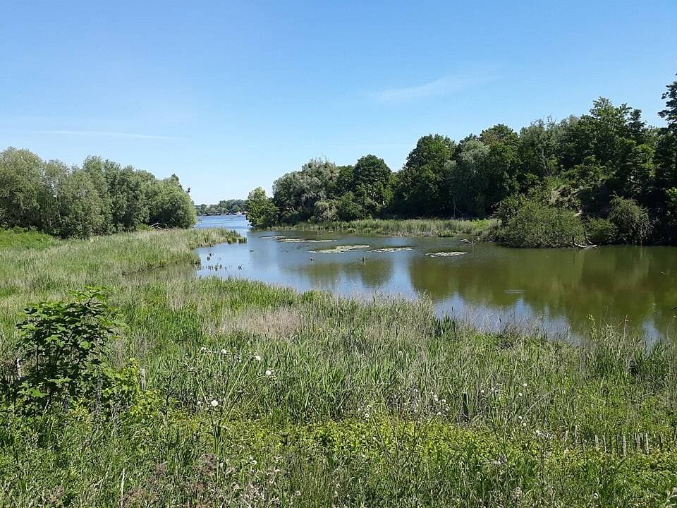 Parc du Peuple de l’Herbe – sortie enfant à Carrières-Sous-Poissy