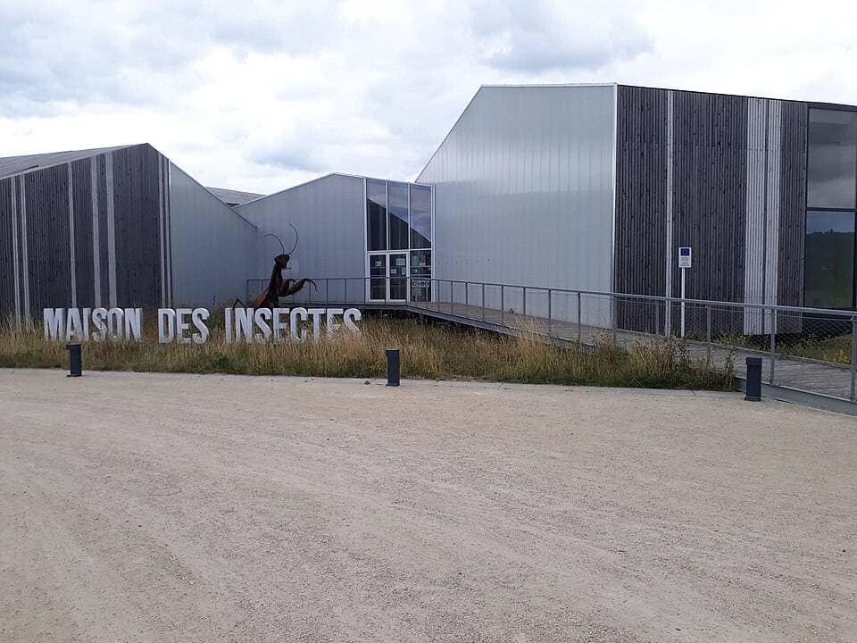 Maison des Insectes - Parc du Peuple de l'Herbe – sortie enfant à Carrières-Sous-Poissy