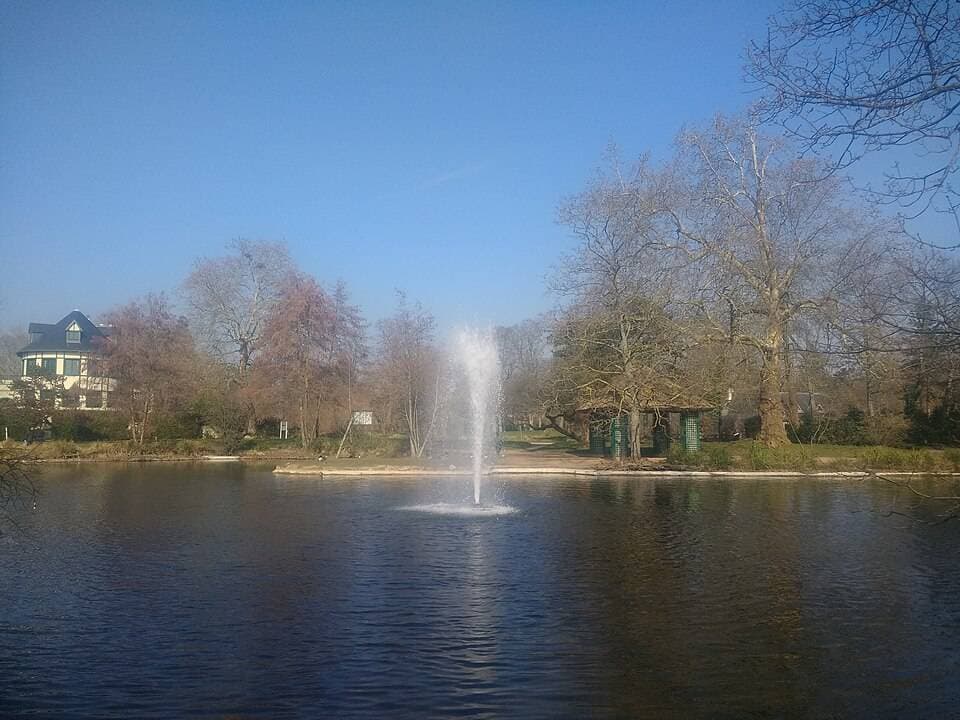 Vue sur le lac des Ibis, Le Vésinet, Yvelines, France