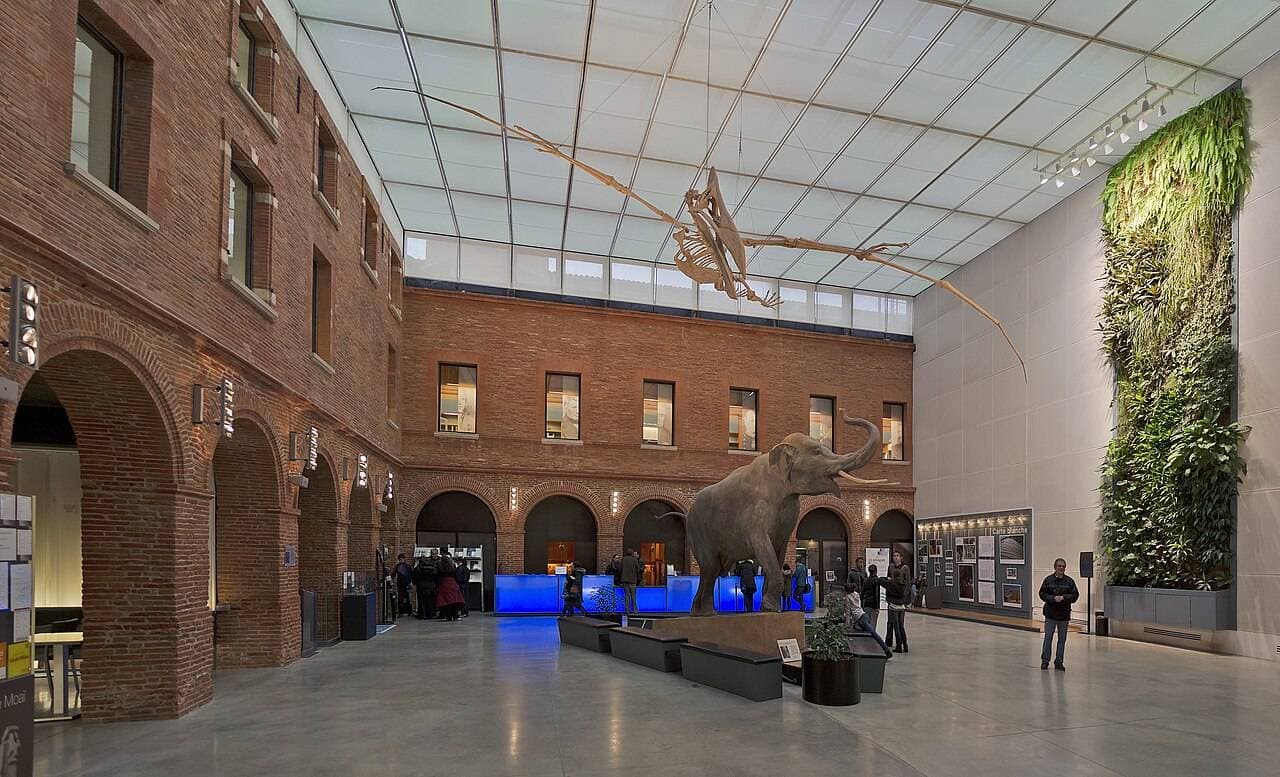 Muséum de Toulouse – sortie enfant à Toulouse