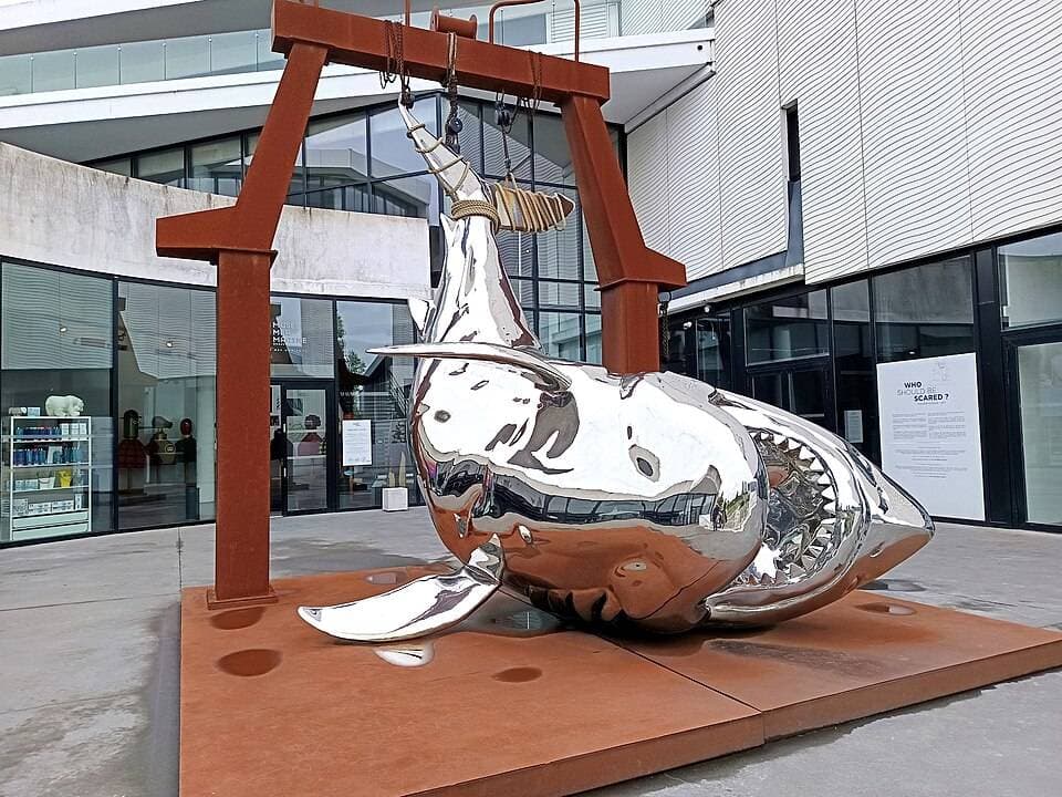 Musée Mer Marine – sortie enfant à Bordeaux