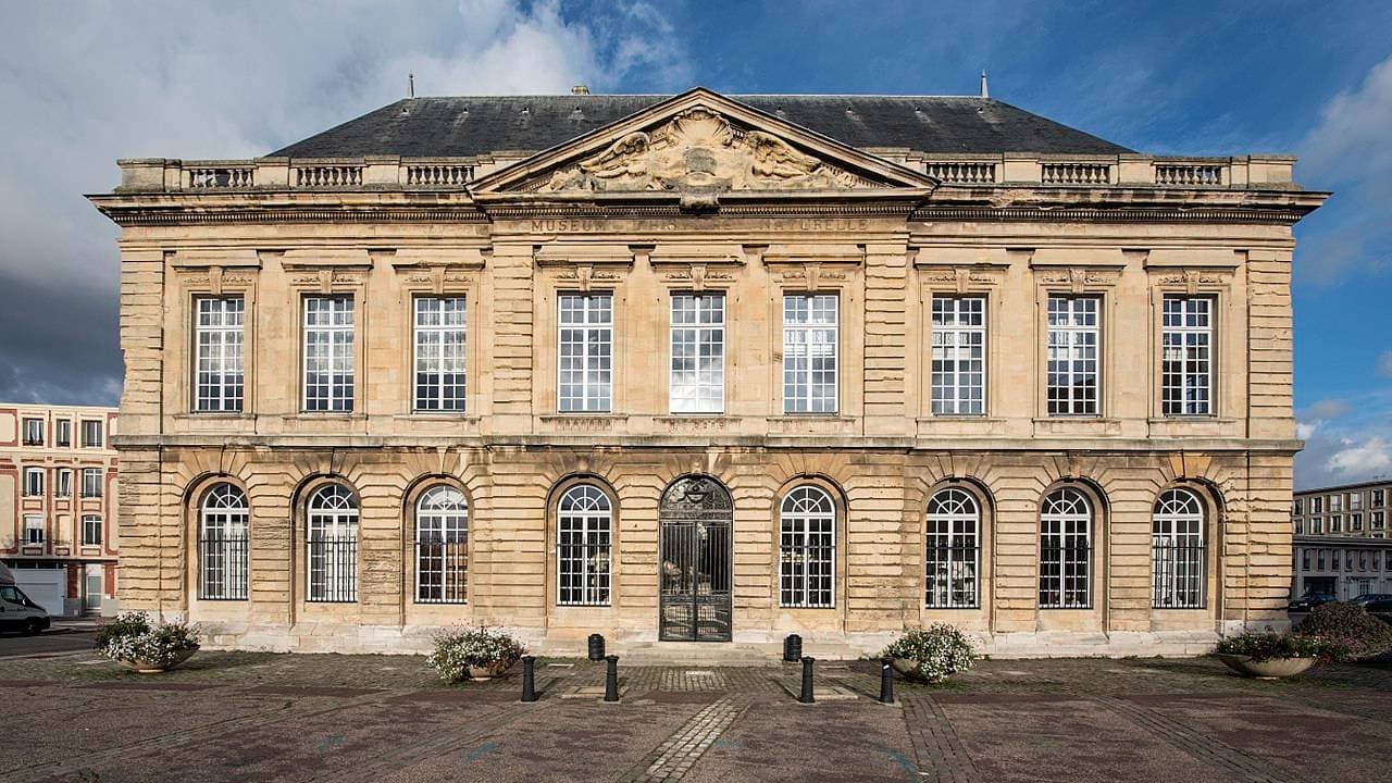 Muséum d’Histoire Naturelle du Havre – sortie enfant à Le Havre