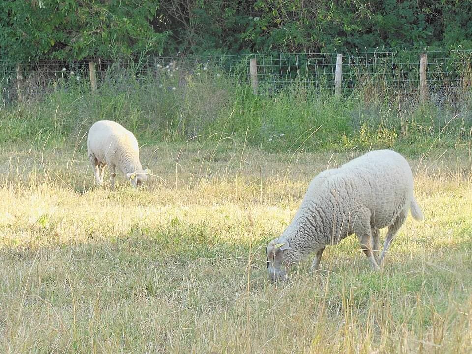 Parc des Oblates – sortie enfant à Nantes