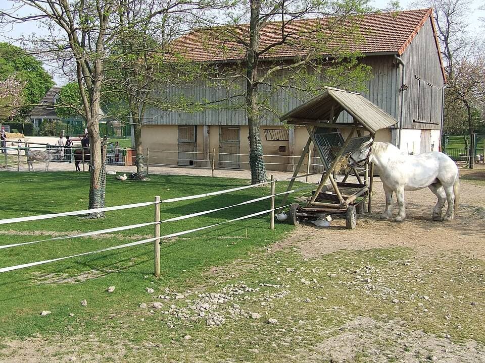 Ferme du Parc des Gondoles – sortie enfant à Choisy-Le-Roi