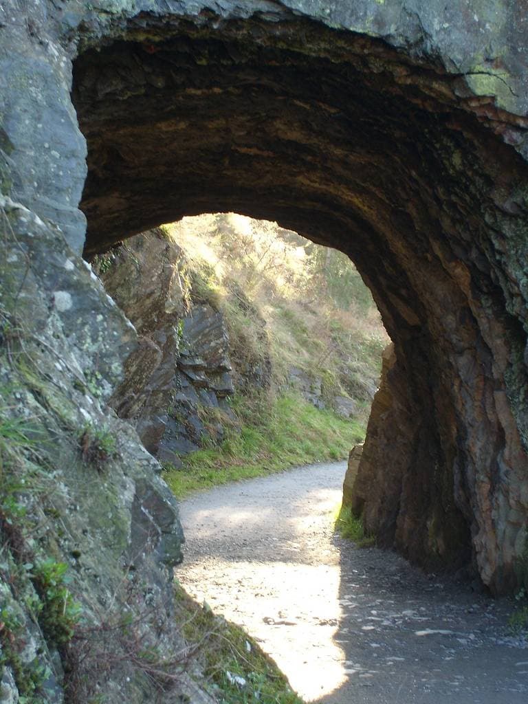 Tunnel du Parc de la Garenne à Angers - Parcs publics & jardins