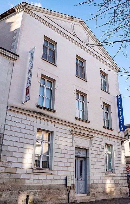 Façade du Muséum d'Histoire Naturelle de Tours à Tours - Musées & visites
