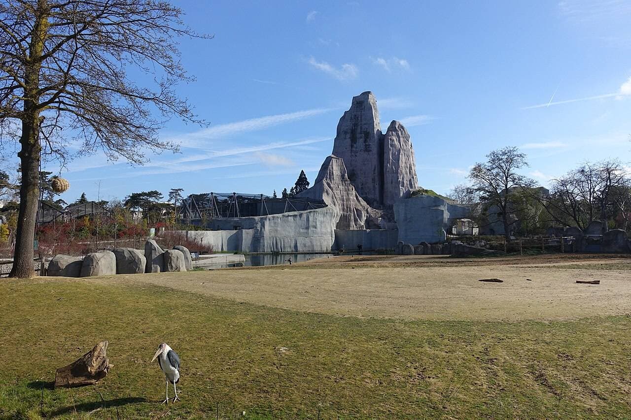 Parc Zoologique de Paris – sortie enfant à Paris