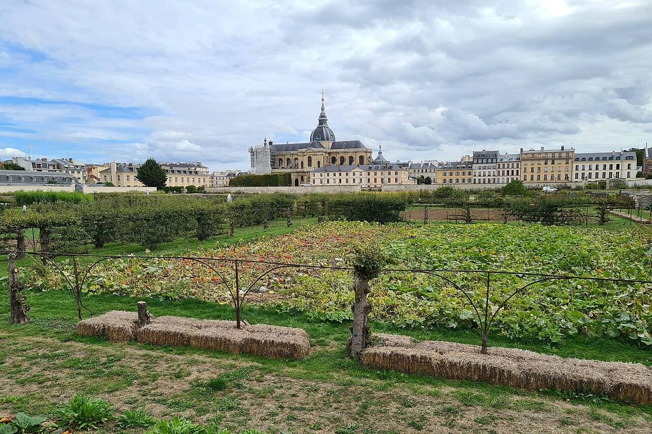 Potager du Roi – sortie enfant à Versailles