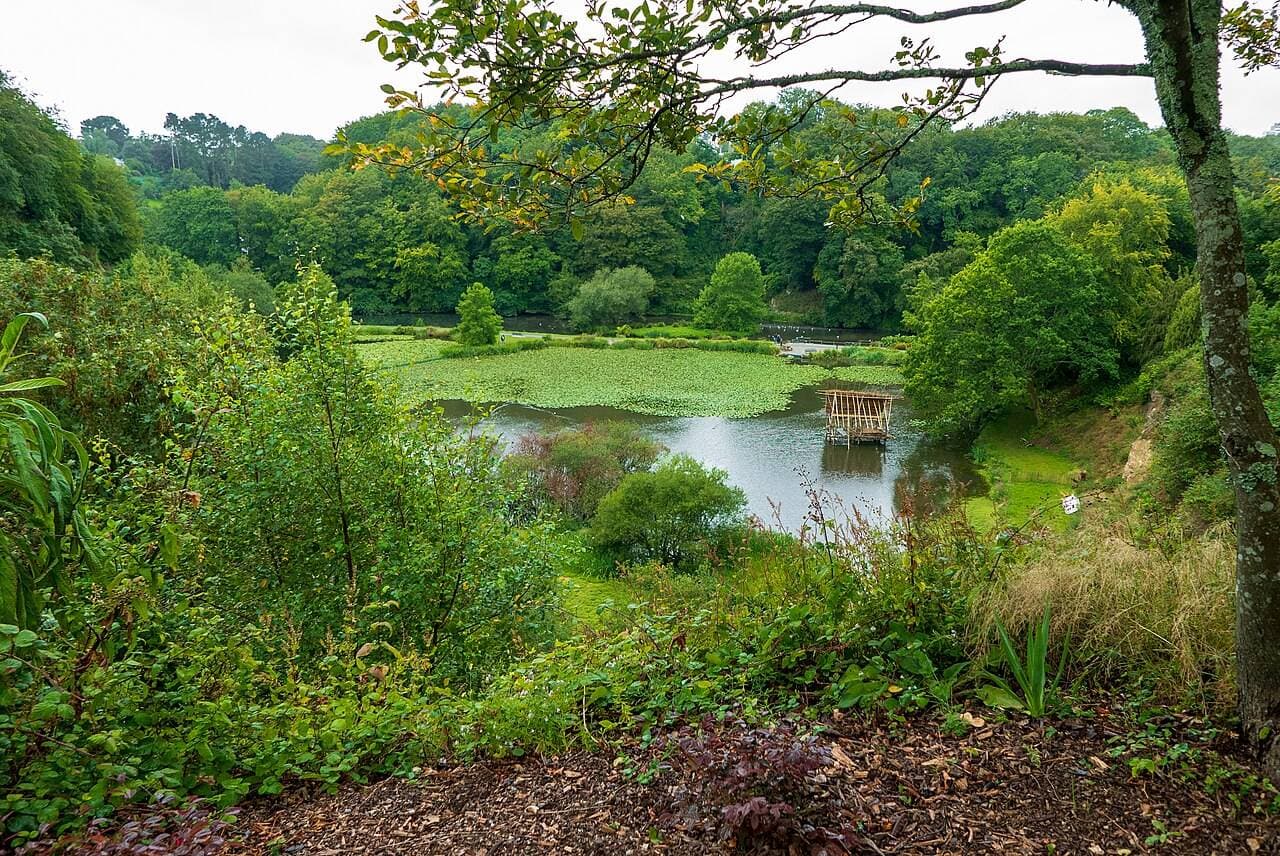 Jardin du Conservatoire botanique national de Brest à Brest - Parcs publics & jardins