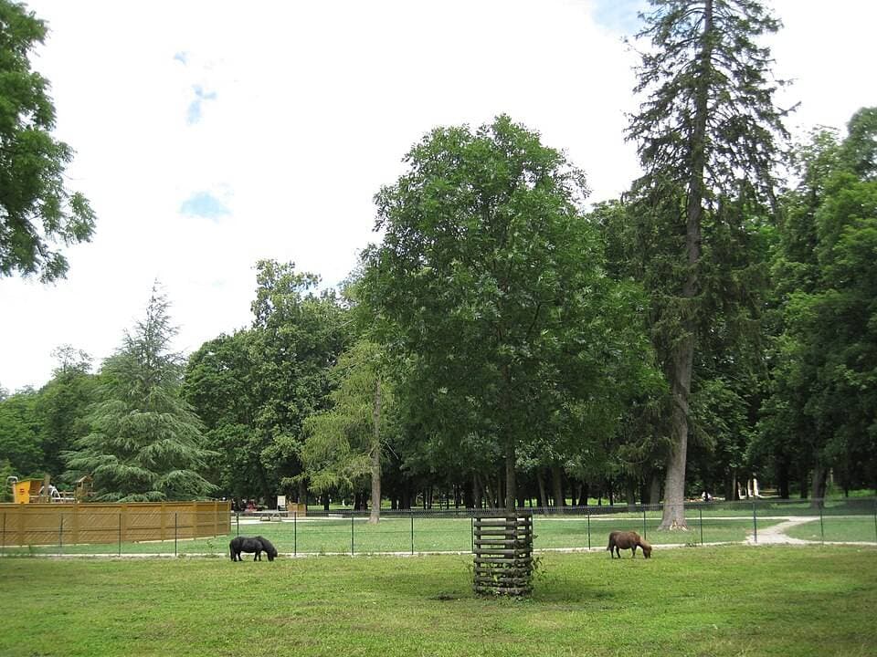 Parc de la Colombière – sortie enfant à Dijon