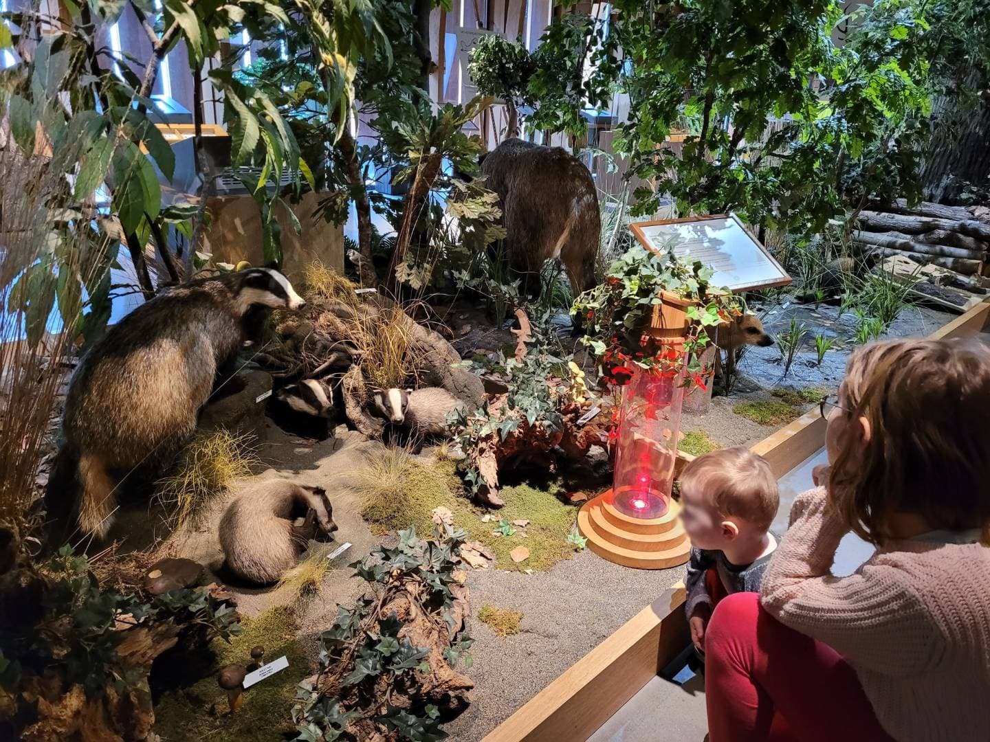 Maison de la Forêt – Arche de la Nature à Le Mans - Musées & visites