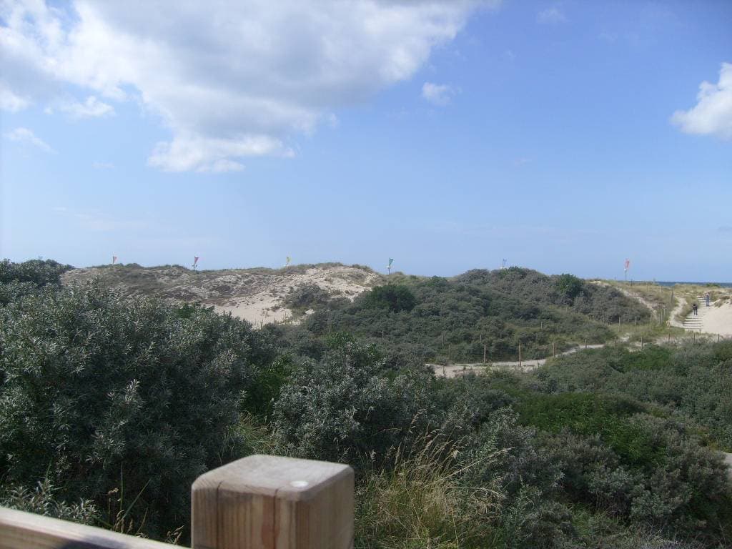 Parc du Vent à Dunkerque - Promenades & randonnées