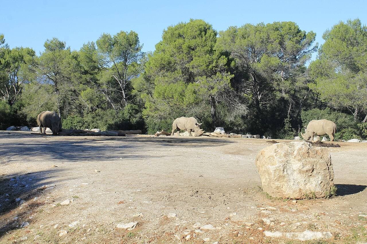 Zoo de Montpellier – sortie enfant à Montpellier