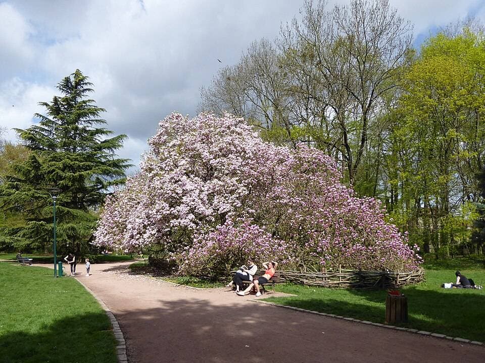 Parc Sainte-Marie – sortie enfant à Nancy