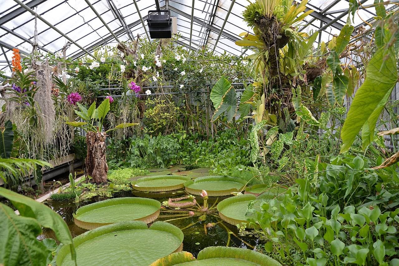 Jardin Botanique Jean-Marie Pelt – sortie enfant à Villers-Lès-Nancy