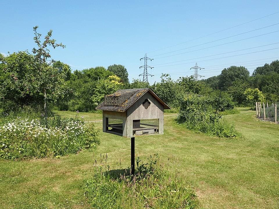 Jardin public de Grande-Synthe – sortie enfant à Grande-Synthe