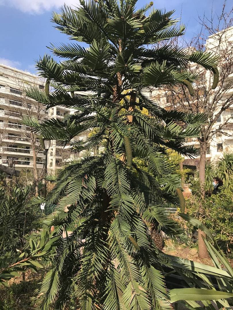 Parc des 5 Continents – sortie enfant à Levallois-Perret