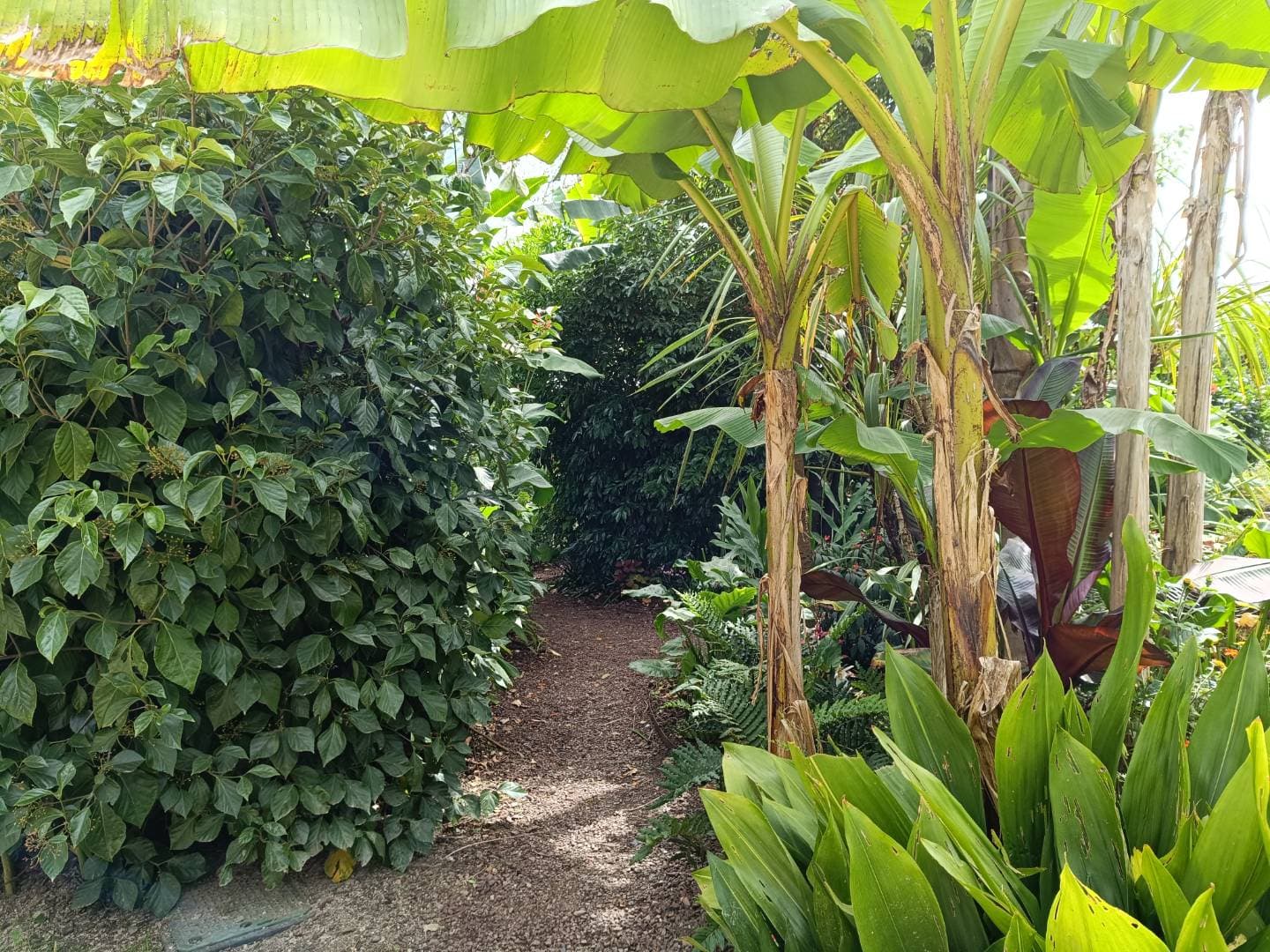 Jardin exotique de la Retraite – sortie enfant à Quimper