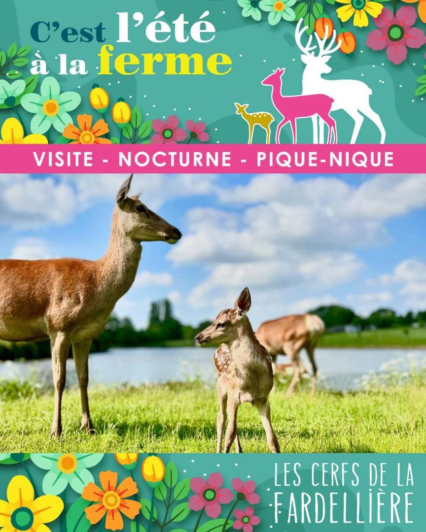 Les Cerfs de la Fardellière à Chemillé-En-Anjou - Fermes, zoos & cueillettes