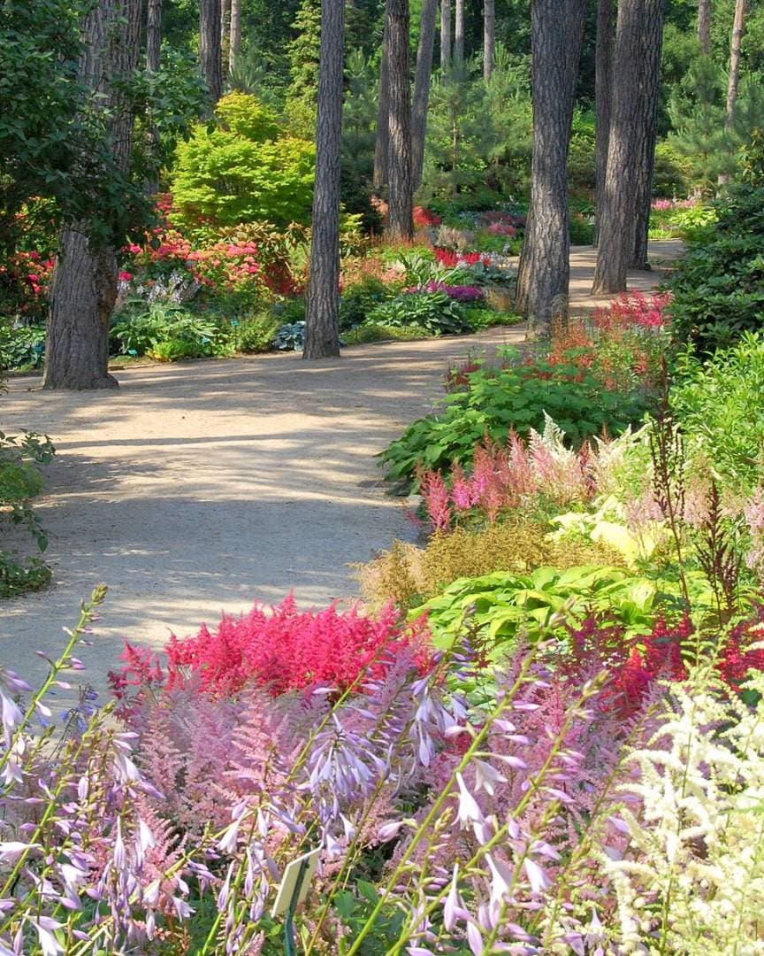 Parc Floral de Paris : le paradis des jeux et fleurs en famille – sortie enfant à Paris
