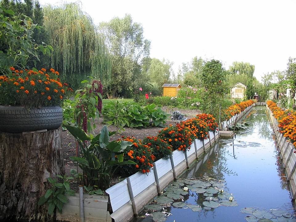 Les Marais de Bourges : Balade nature paisible en famille – sortie enfant à Bourges