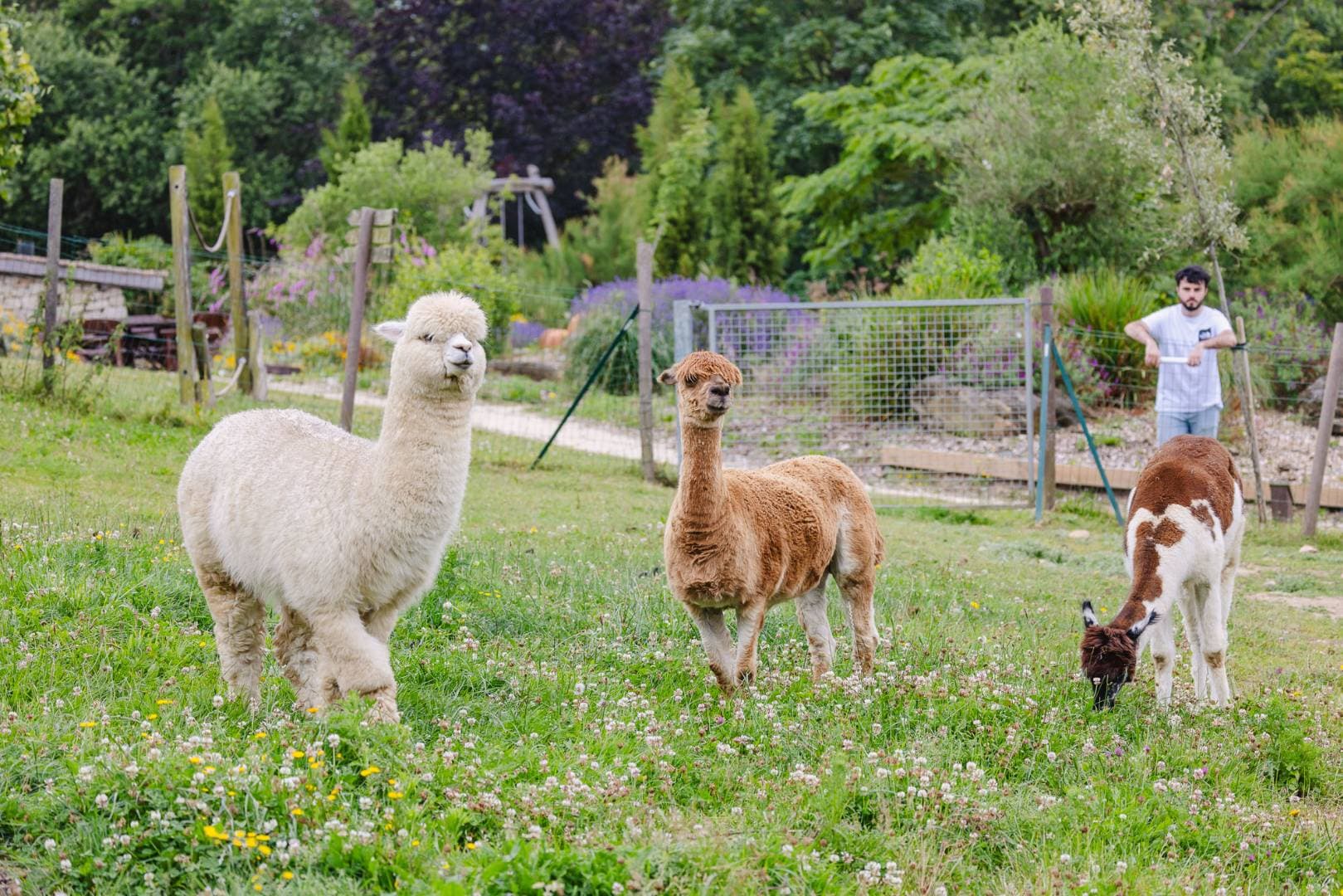 La Balade du Père Nicolas : parc nature et jeux insolites en famille – sortie enfant à Pluméliau-Bieuzy