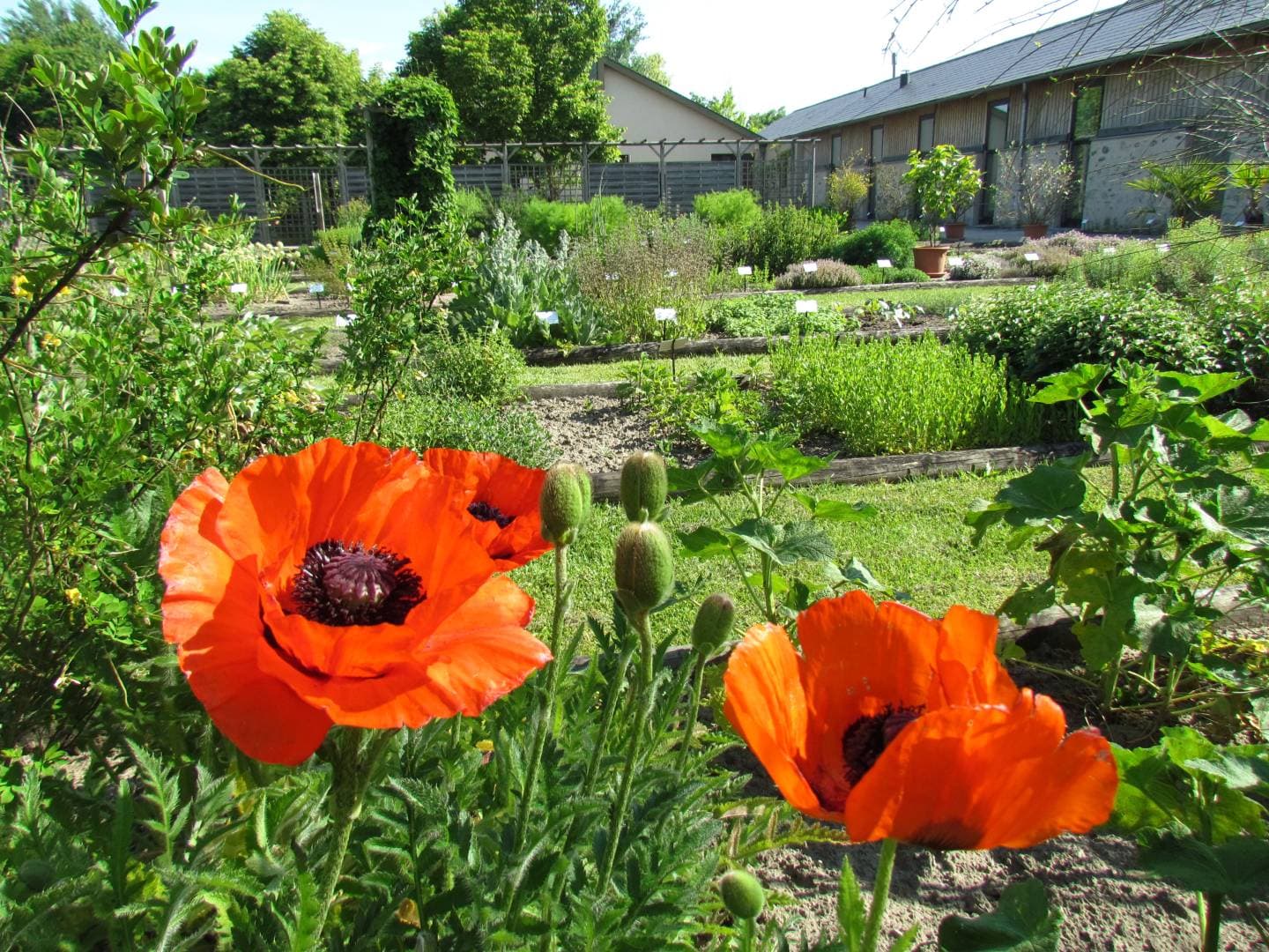 Conservatoire National des Plantes : balade sensorielle en famille à Milly-La-Forêt - Loisirs & activités éducatives