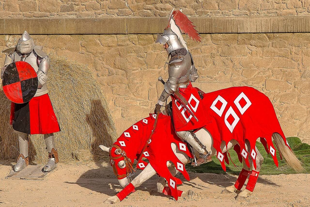 Puy du Fou à Les Epesses - Loisirs & activités éducatives