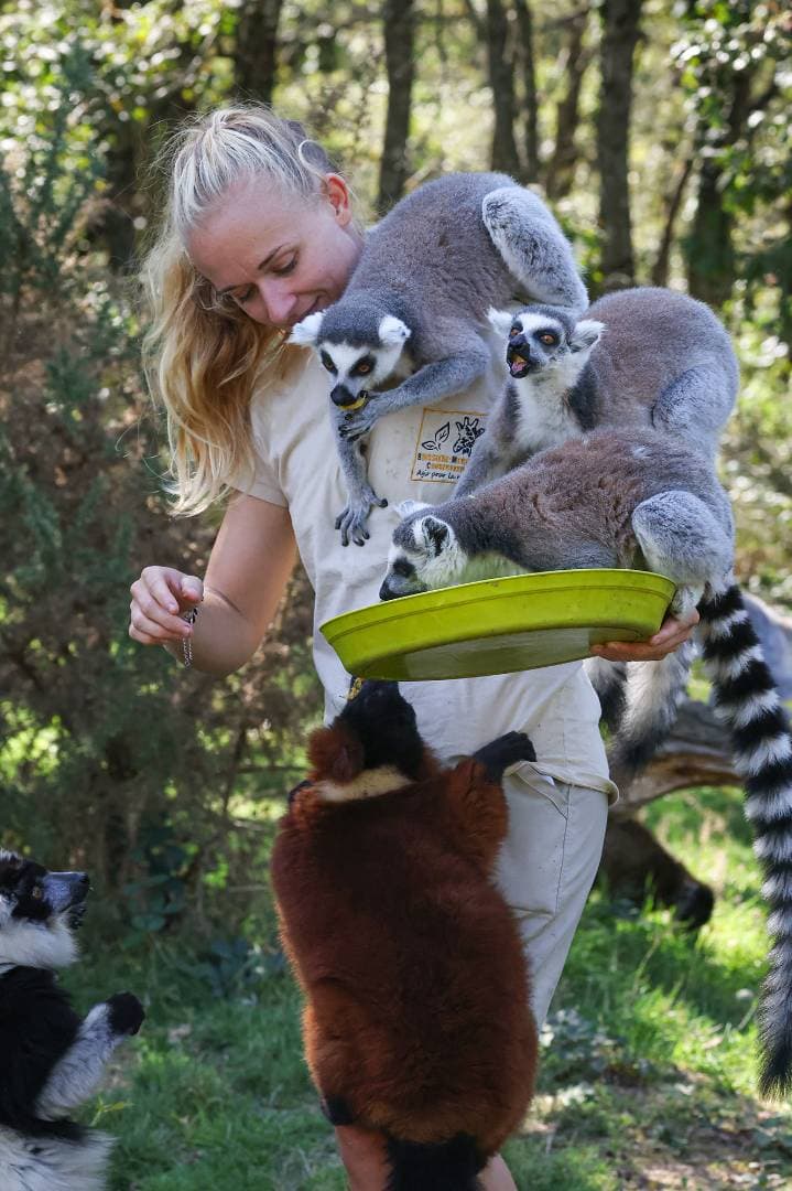 Natur’Zoo de Mervent : balade immersive au cœur des animaux à Mervent - Loisirs & activités éducatives