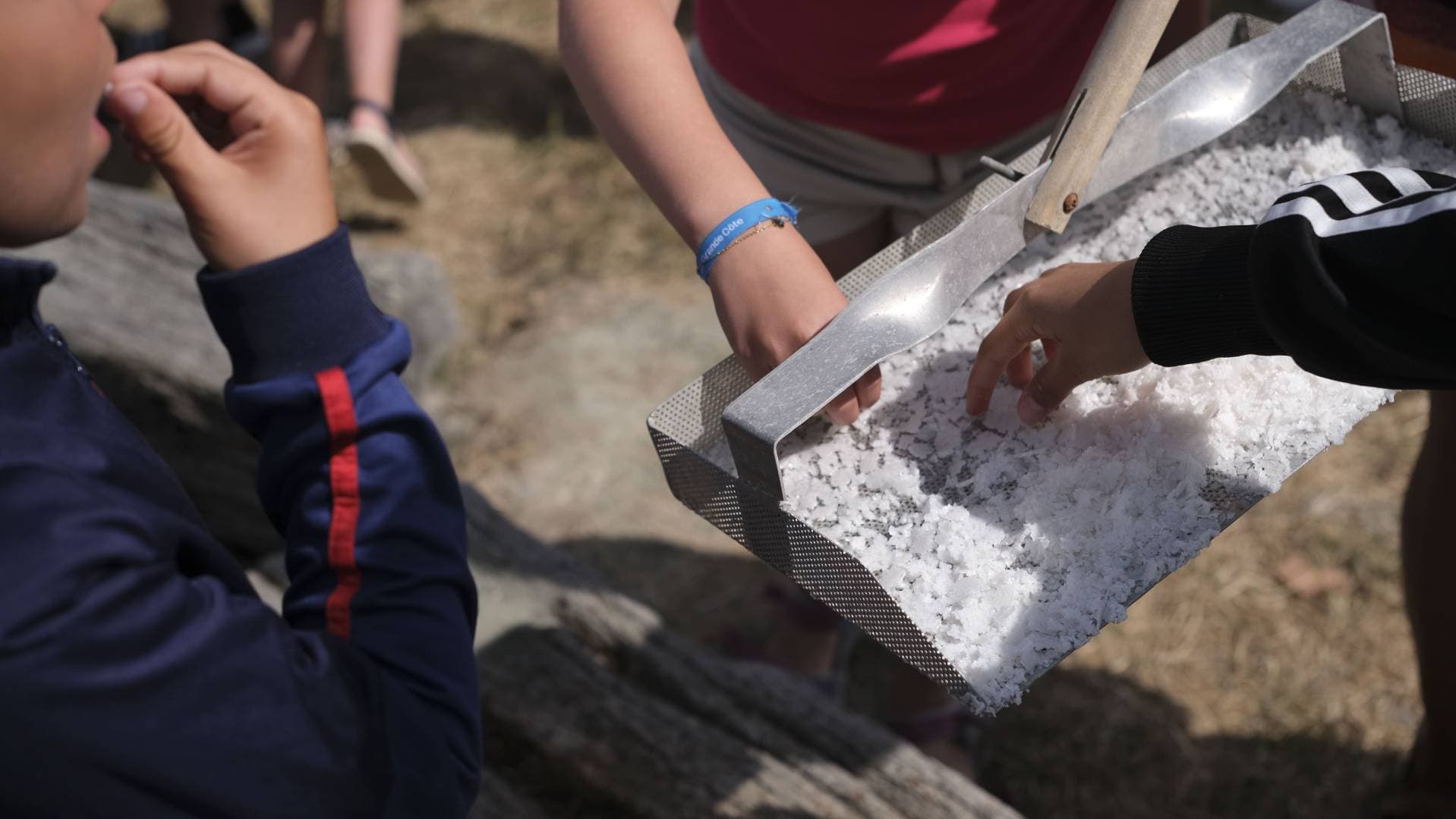 Salines du Breuil : visite nature et récolte de sel en famille à Beauvoir-Sur-Mer - Fermes, zoos & cueillettes