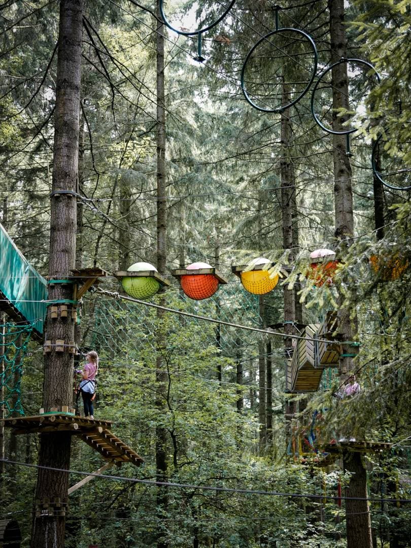 Acroforest : accrobranche illimité et aventures en forêt à Brosville - Loisirs & activités éducatives