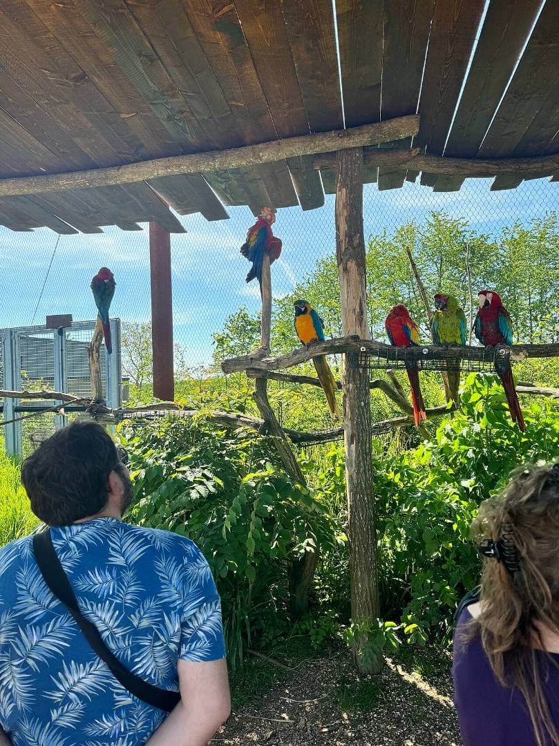 Parrot World : immersion animale en Amérique du Sud – sortie enfant à Crécy-La-Chapelle