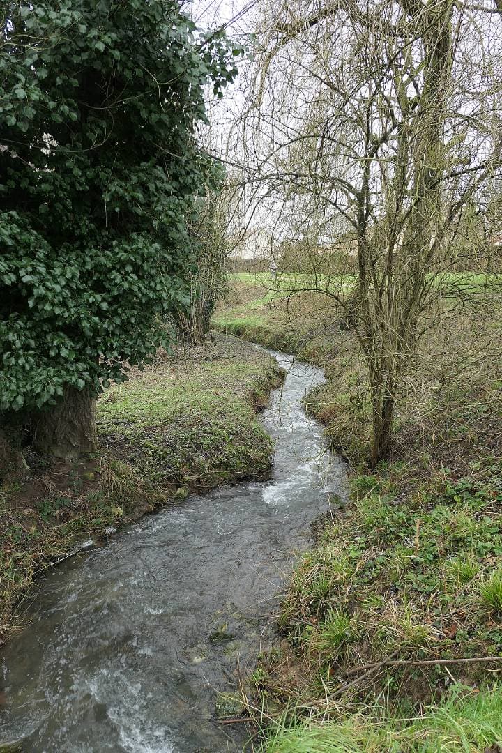 Parc des Frênes : grandes pelouses et balades nature – sortie enfant à Montévrain