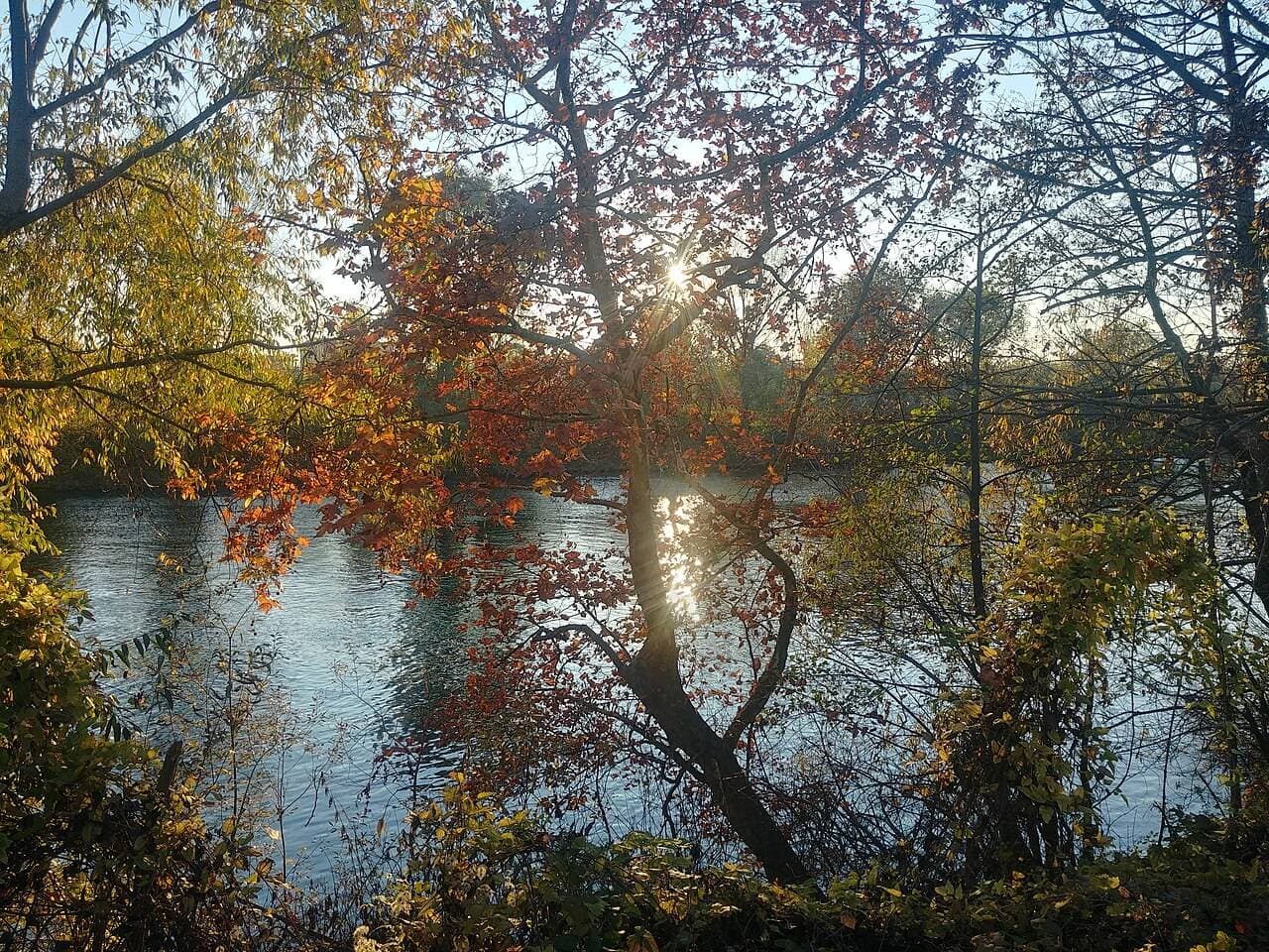 Parc de L’Île-Saint-Denis : nature, jeux et bords de Seine – sortie enfant à L'île-Saint-Denis