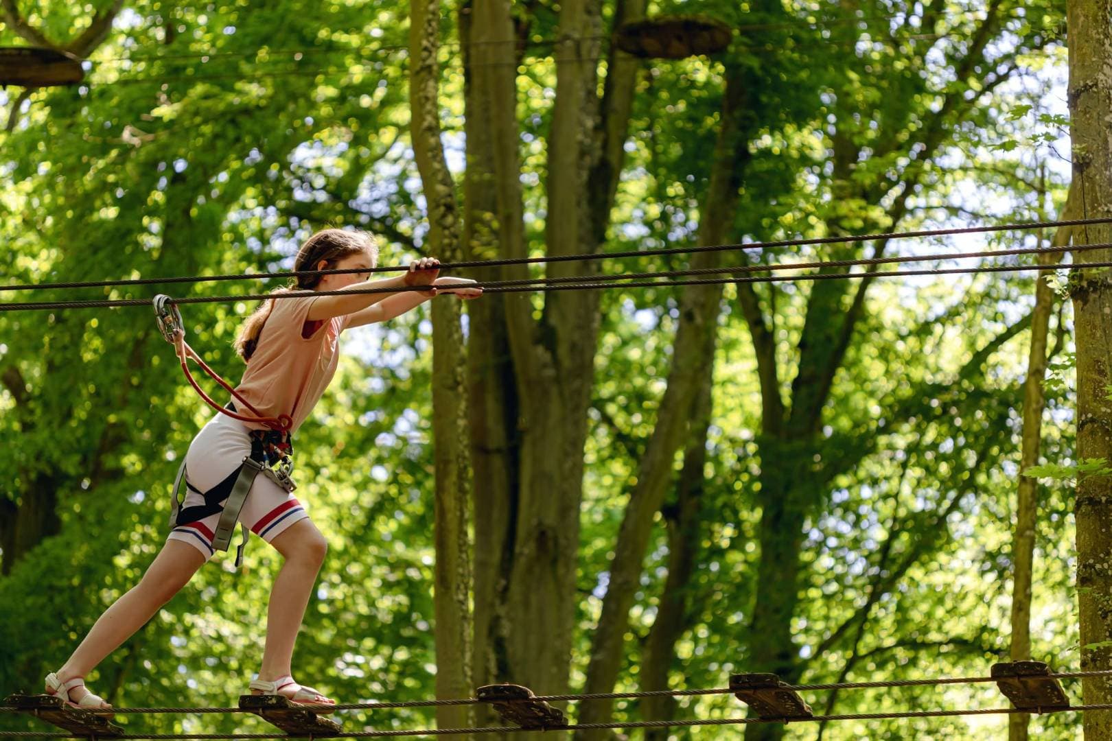 Forest Arena : aventures en forêt dès 2 ans à Cesson - Loisirs & activités éducatives