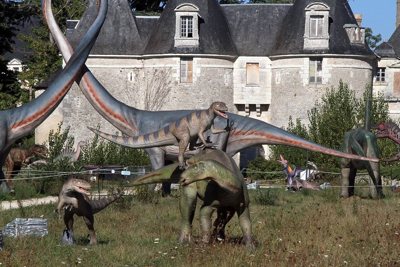 Château de Selles-sur-Cher : château médiéval et exposition de fossiles à Selles-Sur-Cher - Musées & visites