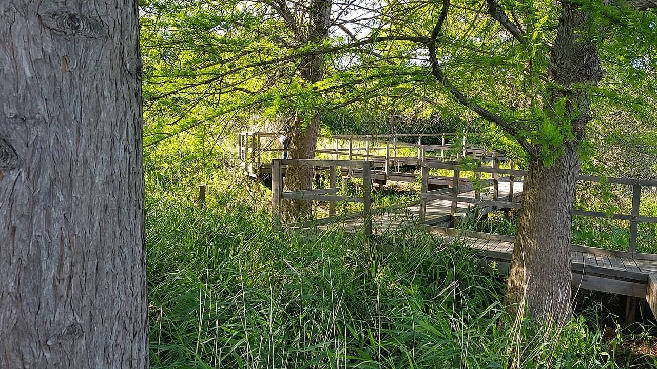 Parc du Sausset : étangs, nature et jeux en grand format – sortie enfant à Aulnay-Sous-Bois