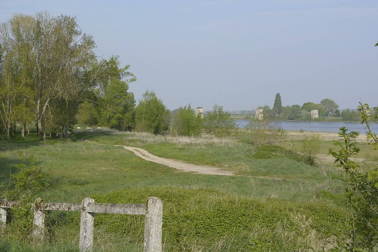 Parc des Mées : nature, jeux et pataugeoire au bord de Loire à La Chaussée-Saint-Victor - Parcs & jardins