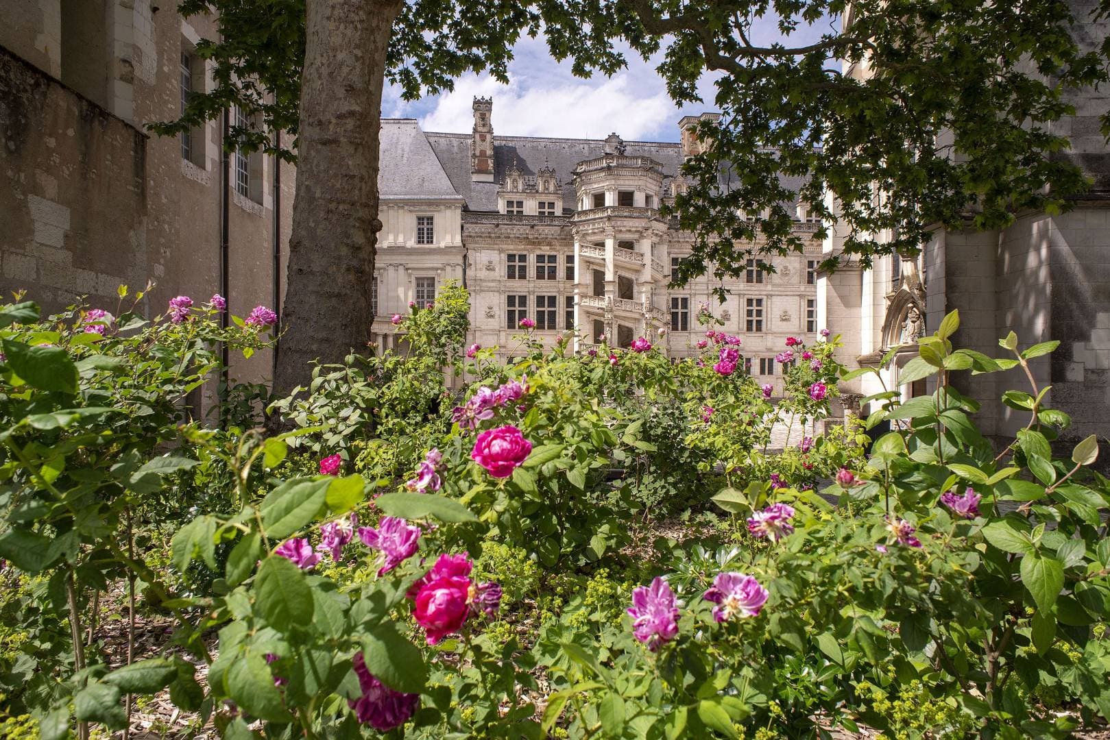 Château royal de Blois : voyage dans l'histoire des rois de France – activité enfant à Blois