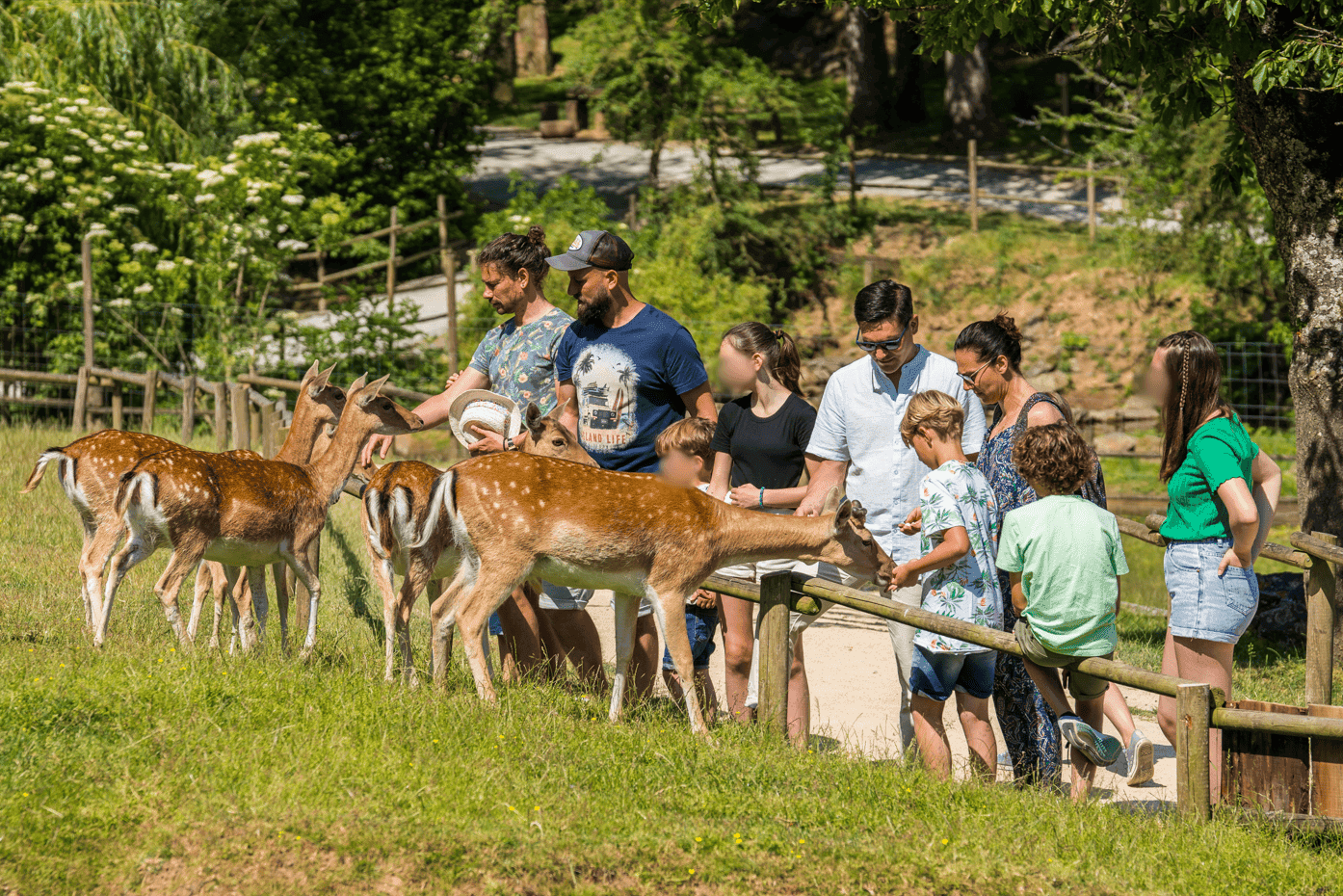 Natural'Parc : zoo et attractions nature pour toute la famille à Orée D’anjou - Fermes, zoos & cueillettes