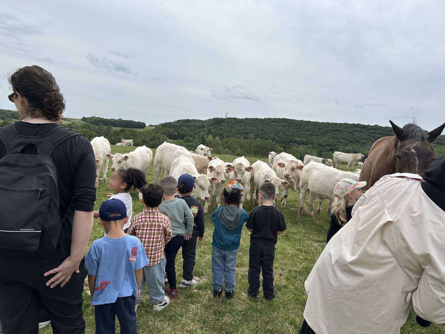 Ferme pédagogique Sainte-Catherine : immersion dans la vie à la ferme à Velle-Sur-Moselle - Fermes, zoos & cueillettes